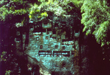 Indonesia - cliff graves near Rantepao, Sulawasi